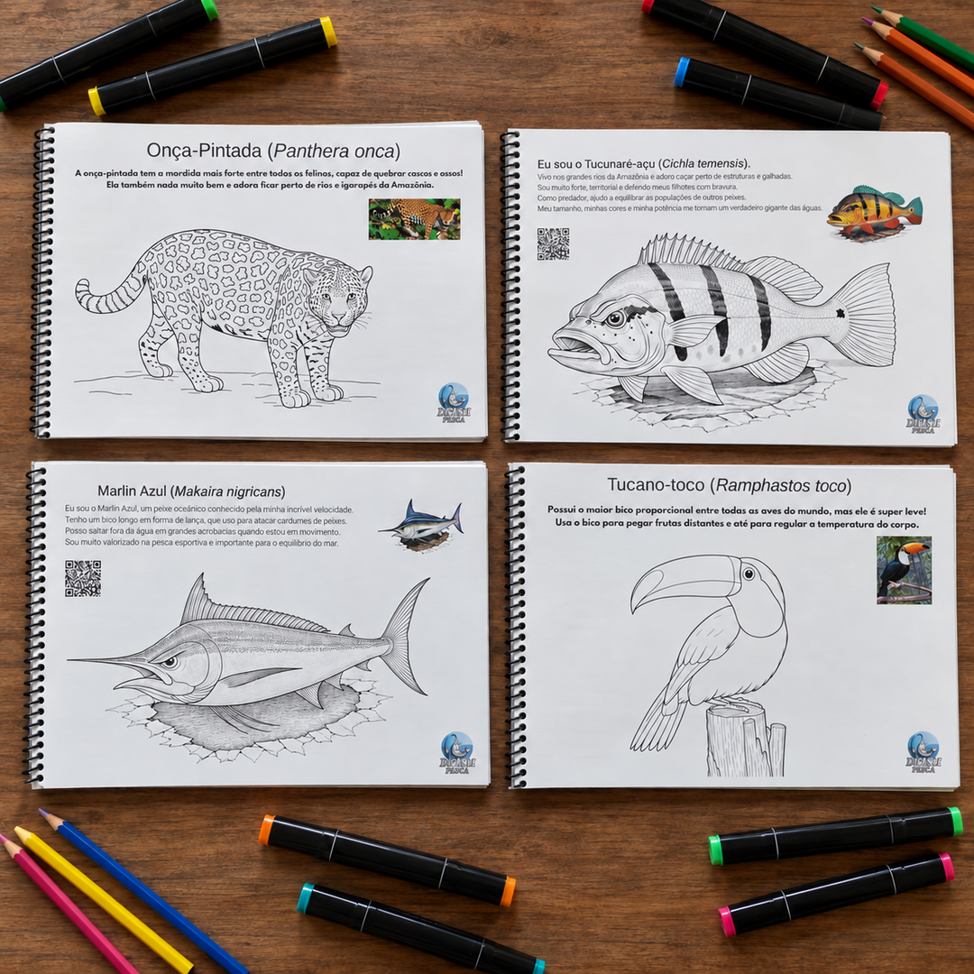 Coleção Descobertas da Natureza | Kit Completo com 4 Cadernos DFISH Goods