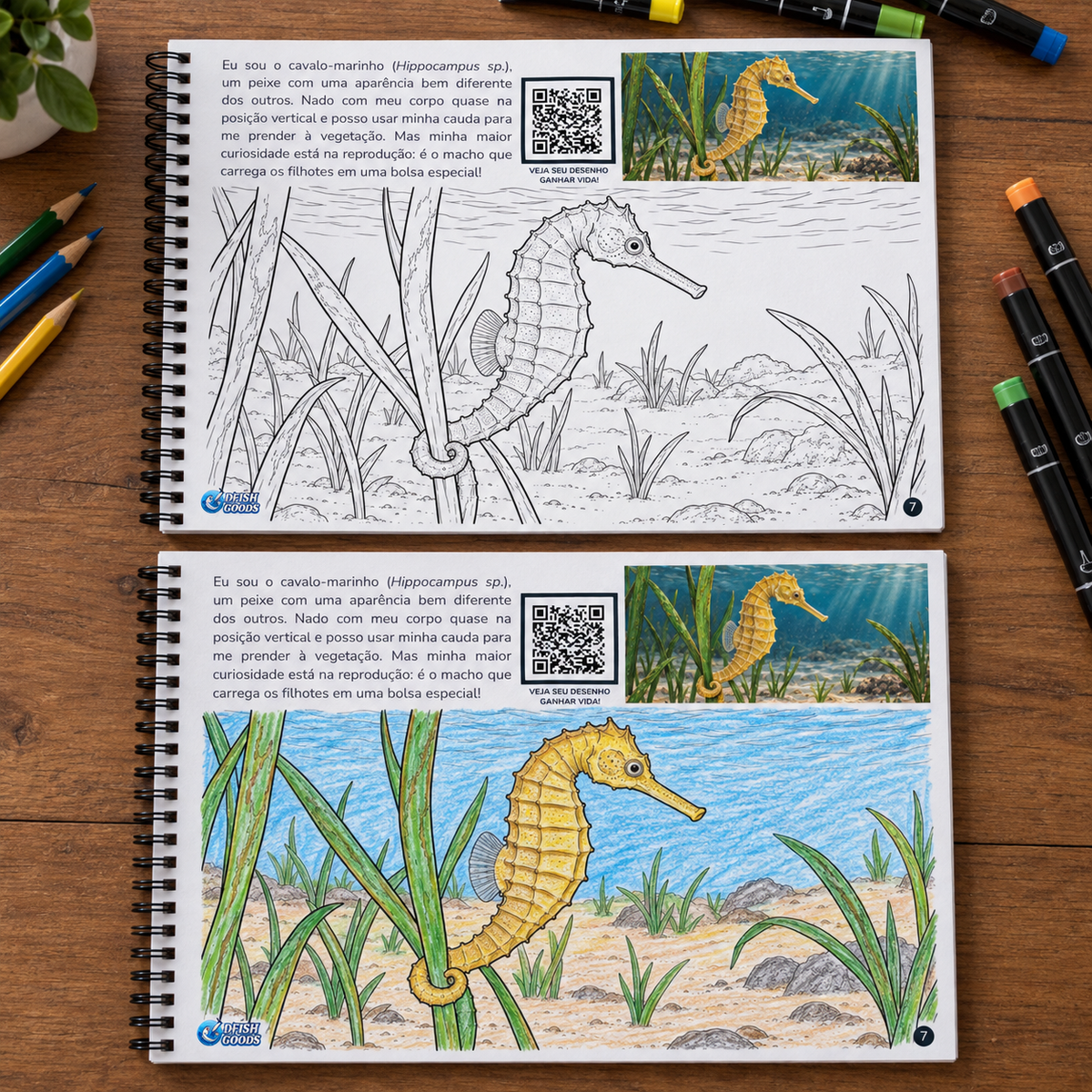 Animais Marinhos | Livro Interativo para Colorir