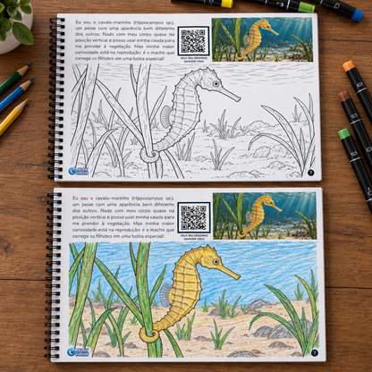 Animais Marinhos | Livro Interativo para Colorir