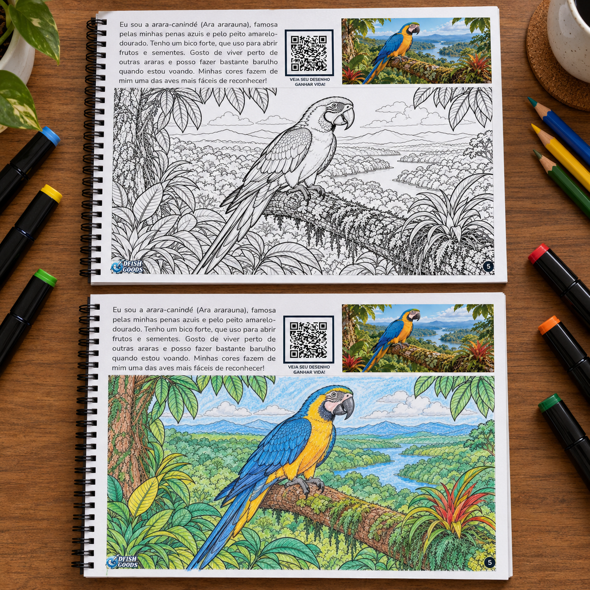 Pássaros Brasileiros | Livro Interativo para Colorir