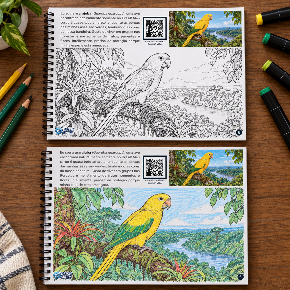 Pássaros Brasileiros | Livro Interativo para Colorir