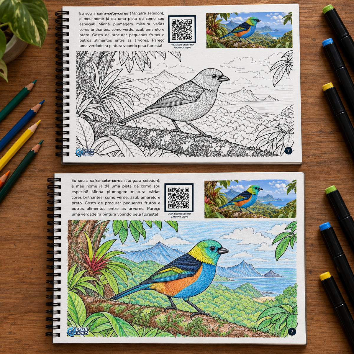 Pássaros Brasileiros | Livro Interativo para Colorir