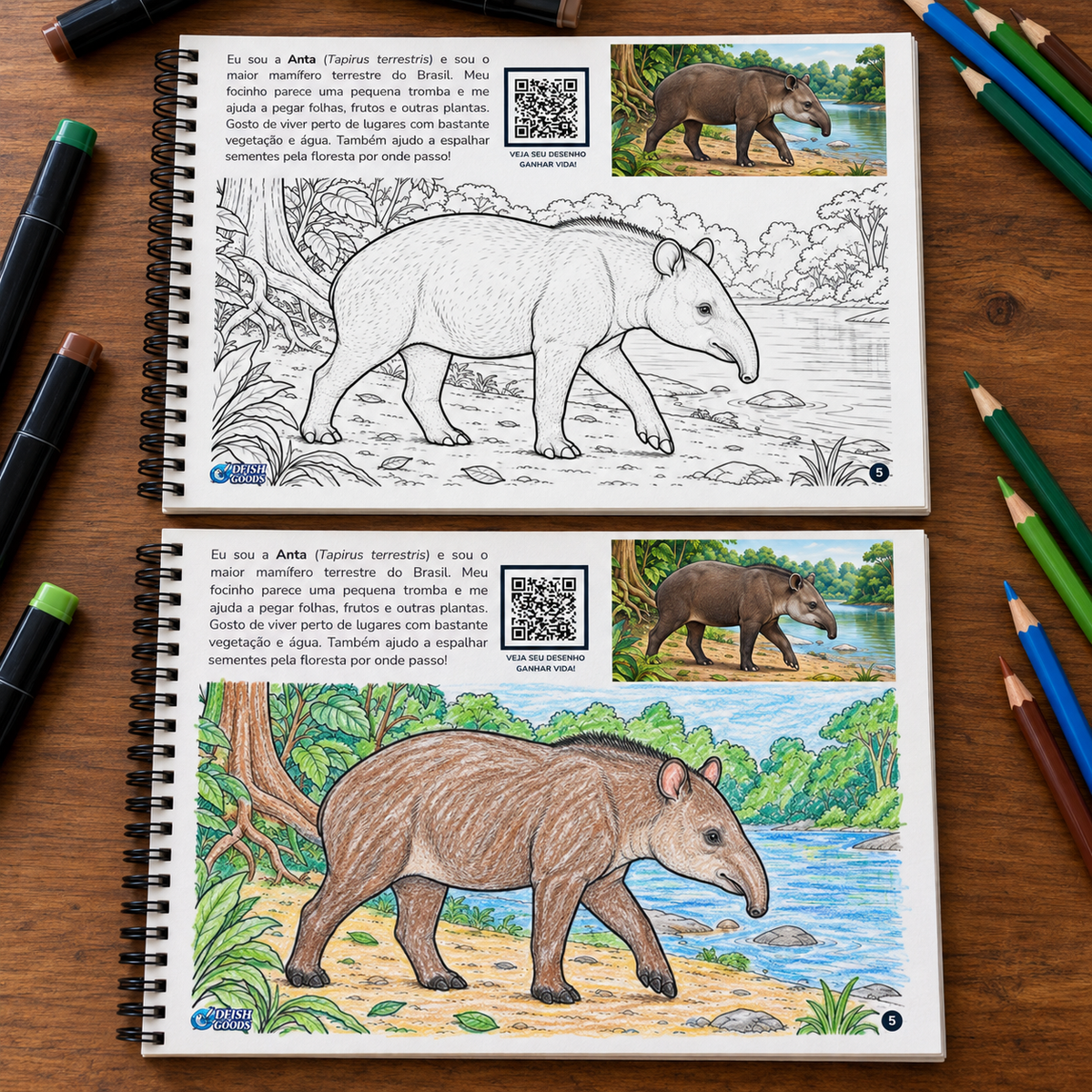 Animais da Amazônia | Livro Interativo para Colorir