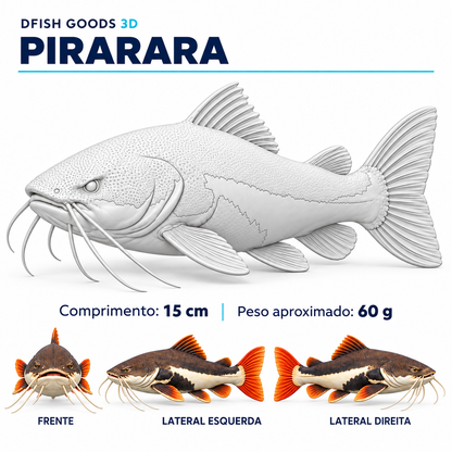 DFISH Goods 3D | Peixes para Pintar