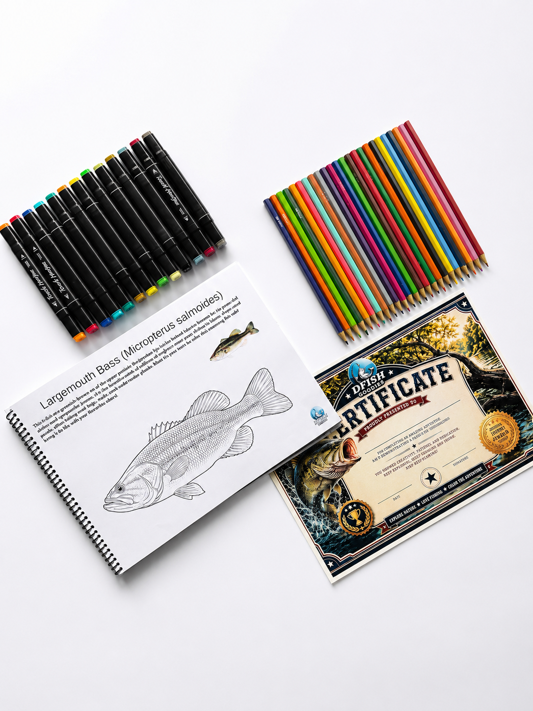 AMERICAN FRESHWATER - FISH TO COLOR